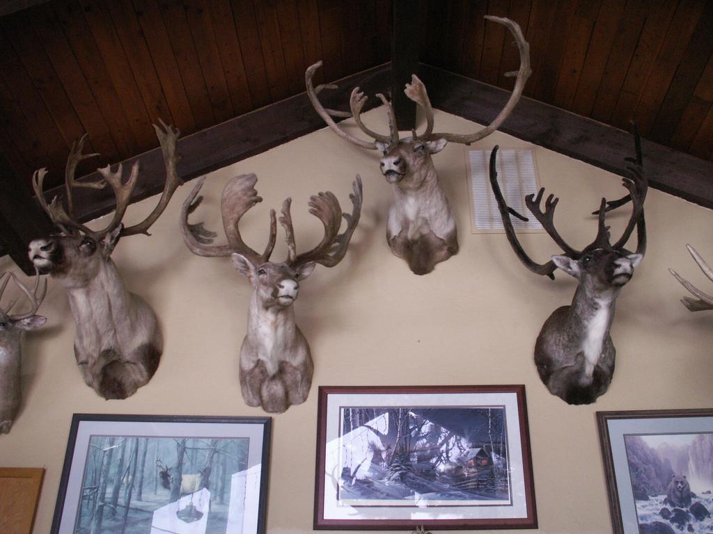 Whitebird Summit Lodge Grangeville 外观 照片