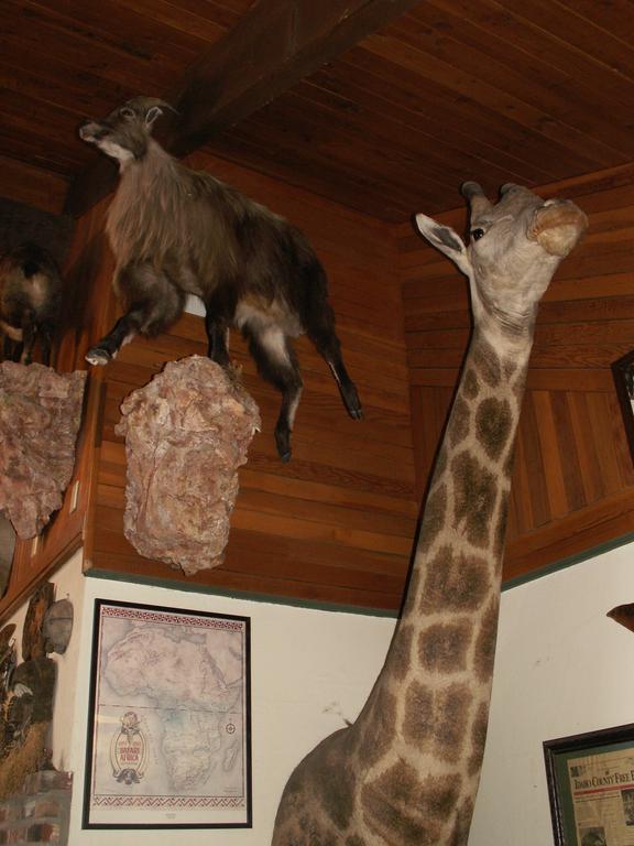 Whitebird Summit Lodge Grangeville 外观 照片