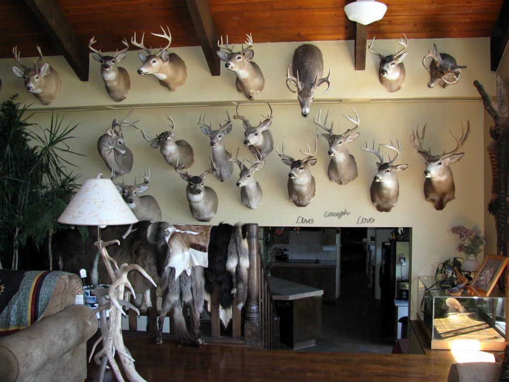 Whitebird Summit Lodge Grangeville 外观 照片